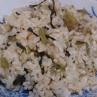 高菜とゴマの炒飯